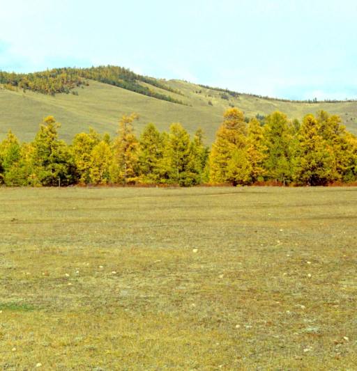 СТЕПНИ ГОРИ