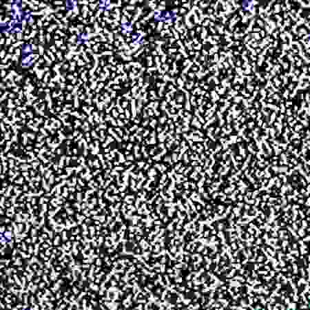 ШУМ